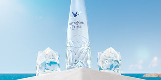 Grey Goose Altius: Does It Actually Taste Different?