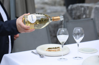 Blanc de Blanc Champagne