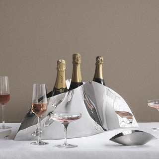 Champagne Glass & Accessories