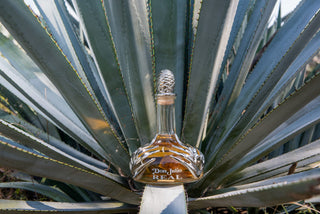 Extra Añejo Tequila