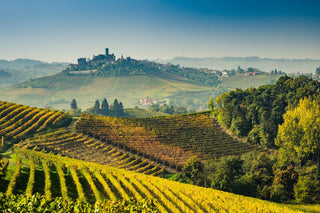 Nebbiolo