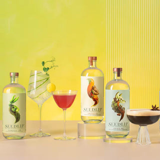 Seedsip
