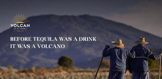 Volcan De Mi Tierra Añejo Cristalino Tequila