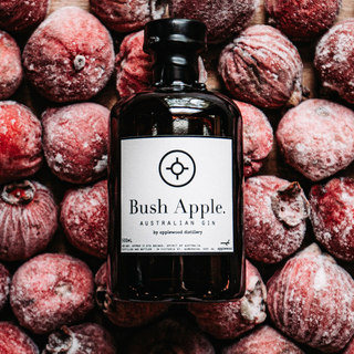A bottle of Applewood Bush Apple Gin 500ml rests on frosted bush apples, its white label standing out against the dark glass—a striking display of fruity gin made with native botanicals.