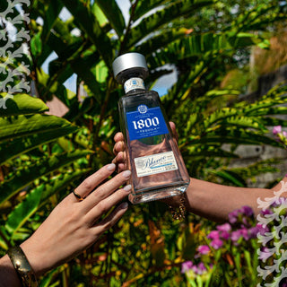 A person holds a bottle of 1800 Blanco Tequila 700ml outdoors as sunlight highlights its smooth agave notes. Another hand reaches for it among green plants and pink flowers, capturing a fresh, vibrant scene.