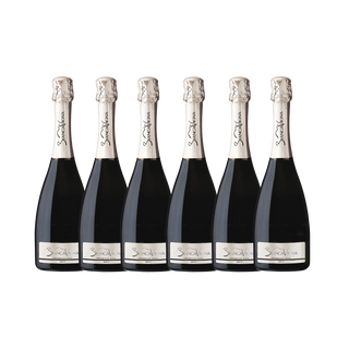 BiancaVigna Prosecco NV Brut DOC 6 Pack