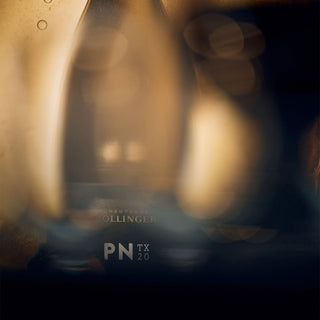 A blurred, artistic photo features the Bollinger PN TX20 Champagne bottle, with its label visible amid soft golden and brown light reflections that evoke notes of chalky minerality and ripe orchard fruits.