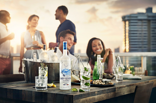 Grey Goose premium French vodka brand banner showcasing logo