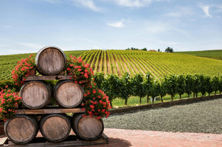 Les Peyrautins premium French winery banner showcasing