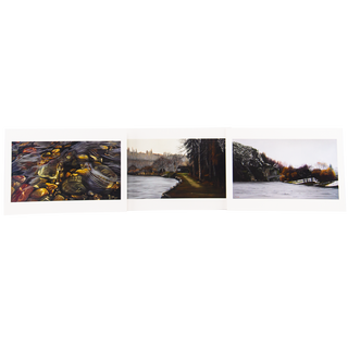 Three landscape photographs arranged horizontally on a white background