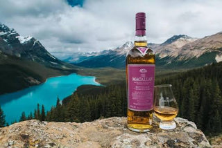 The Macallan Edition No. 5 Single Malt Scotch Whisky