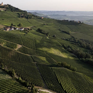 Aerial view of vineyards on hilly landscape with buildings in the distance.