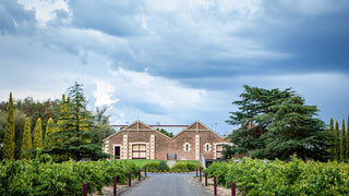 Wynns premium Australian winery banner showcasing brand logo