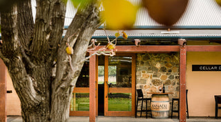 A rustic cellar door or winery entrance with a large tree trunk in the foreground, stone wall, wooden posts, glass doors, and a barrel labeled Kanadu visible under a sign that reads CELLAR D.