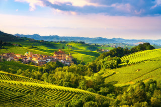 Vineyard landscape with a village and mountains in the background