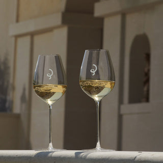Two wine glasses partially filled with Billecart-Salmon Exceptions Trio Gift Pack champagne rest on a light-colored surface, with an elegant arched building cast in soft shadows in the background.