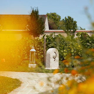 The Billecart-Salmon Le Sous Bois + 2 Glasses Gift Set evokes notes of toasted brioche, like a garden path lined with yellow flowers and grapevines, beneath red-tiled rooftops and a clear blue sky.