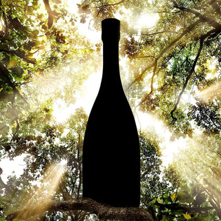 A black silhouette of the Bollinger Special Cuvée Brut NV 15L stands against a sunlit forest canopy, with beams of sunlight streaming through green leaves like notes of toasted almond, evoking pure elegance.
