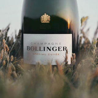 A close-up of a Bollinger Special Cuvée Brut NV 15L champagne bottle upright in tall grass, its label crisp and clear, evoking hints of brioche and toasted almond with a softly blurred background.
