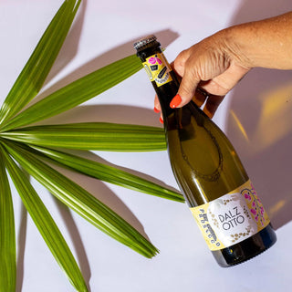 Hand holding a bottle of Dalz Otto wine with a palm leaf in the background