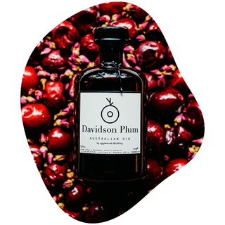 A dark glass bottle of Applewood Davidson Plum Gin 500ml stands before fresh Davidson plums. The white label, with black text and a simple plum illustration, highlights native botanicals and juniper in this Australian gin.