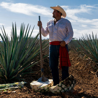 A man in a white shirt, jeans, and cowboy hat stands in an agave field with a harvested plant, evoking the craftsmanship behind Maestro Dobel 50 Cristalino Extra Anejo Tequila 750ml under the bright sun.