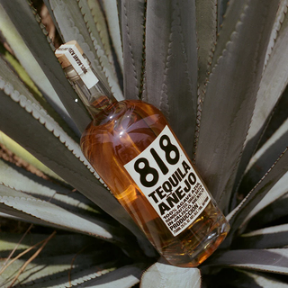 A bottle of 818 Tequila Anejo 700ml sits atop spiky agave leaves, sunlight illuminating its golden hue in the clear glass and evoking hints of toasted oak and honeyed agave.