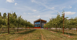 Modern building surrounded by young trees under a clear blue sky