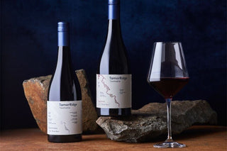Two dark wine bottles with white labels and blue foil tops are arranged on a wooden surface with rough stones, alongside a stemmed wine glass filled with red wine, against a dark blue background. The label reads Tamari Ridge.