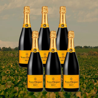 Six bottles of Veuve Clicquot Brut champagne with a vineyard background